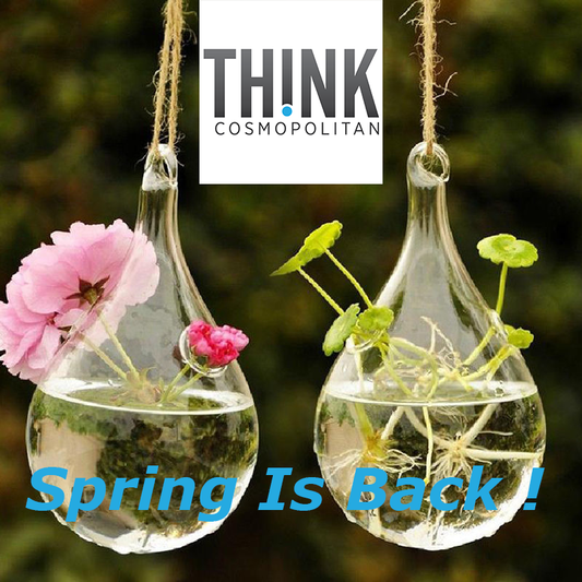 Spring is Back!