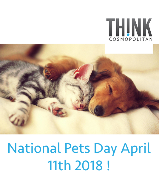 National Pets Day April 11th 2018 !