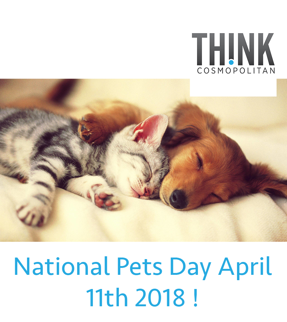 National Pets Day April 11th 2018 !